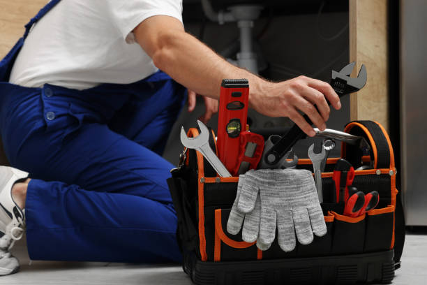 Best Commercial Plumbing Services  in Olivet, MI